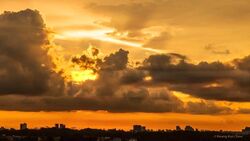 D'Leedon (D10), Condominium #502896021